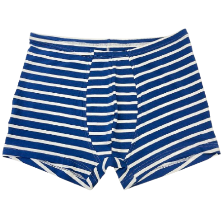 Men's Blue Striped Boxer Shorts